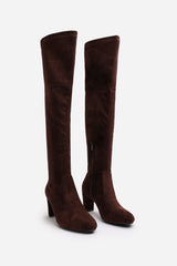 Felinia Brown Suede Round Toe Block Heel Knee High Boots