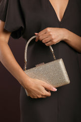 Veil Embellished Hard Case Evening Clutch Bag in Gold